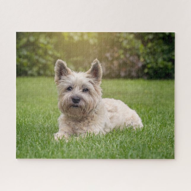 Cutest Baby Animals | Cairn Terrier Dog Jigsaw Puzzle (Horizontal)