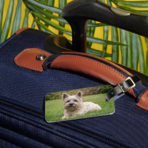 Cutest Baby Animals   Cairn Terrier Dog Luggage Tag