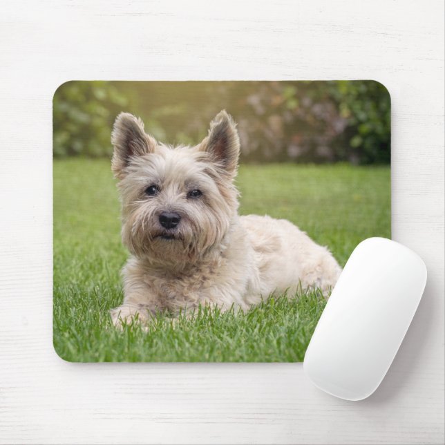 Cutest Baby Animals | Cairn Terrier Dog Mouse Mat (With Mouse)