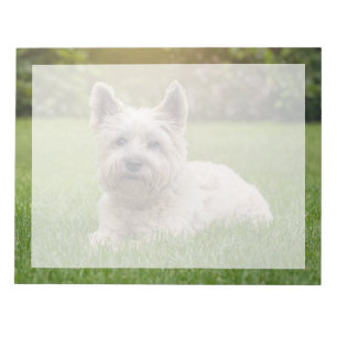 Cutest Baby Animals   Cairn Terrier Dog Notepad
