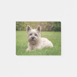 Cutest Baby Animals Cairn Terrier Dog Post-it Notes