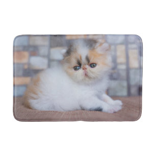 Cutest Baby Animals   Calico Persian Kitten Bath Mat