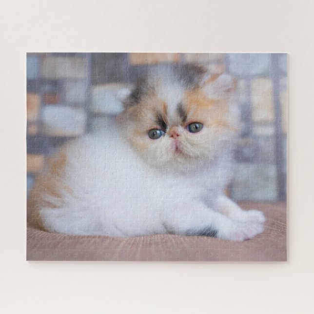 Cutest Baby Animals | Calico Persian Kitten Jigsaw Puzzle (Horizontal)