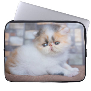 Cutest Baby Animals   Calico Persian Kitten Laptop Sleeve