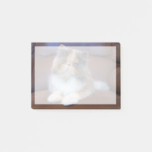 Cutest Baby Animals Calico Persian Kitten Post-it Notes