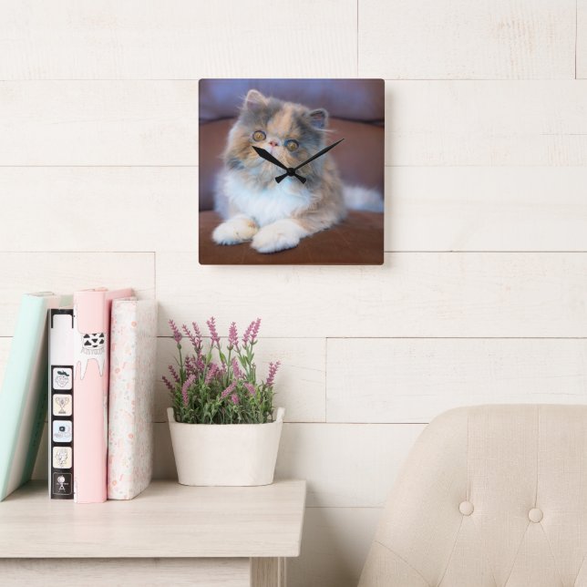 Cutest Baby Animals | Calico Persian Kitten Square Wall Clock (Reading Room)