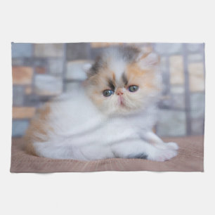 Cutest Baby Animals   Calico Persian Kitten Tea Towel