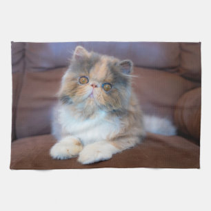 Cutest Baby Animals   Calico Persian Kitten Tea Towel