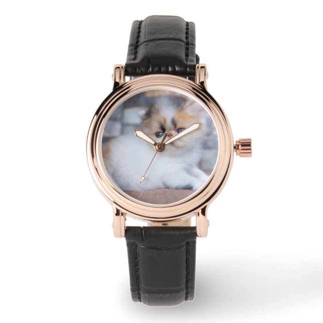 Cutest Baby Animals | Calico Persian Kitten Watch (Front)