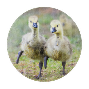 Cutest Baby Animals Canadian Goose Goslings Cutting Board