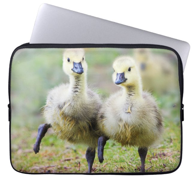 Cutest Baby Animals | Canadian Goose Goslings Laptop Sleeve (Front)