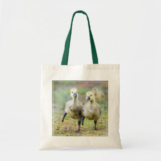 Cutest Baby Animals | Canadian Goose Goslings Tote Bag