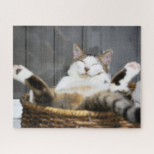 Cutest Baby Animals Cat in Bed Jigsaw Puzzle