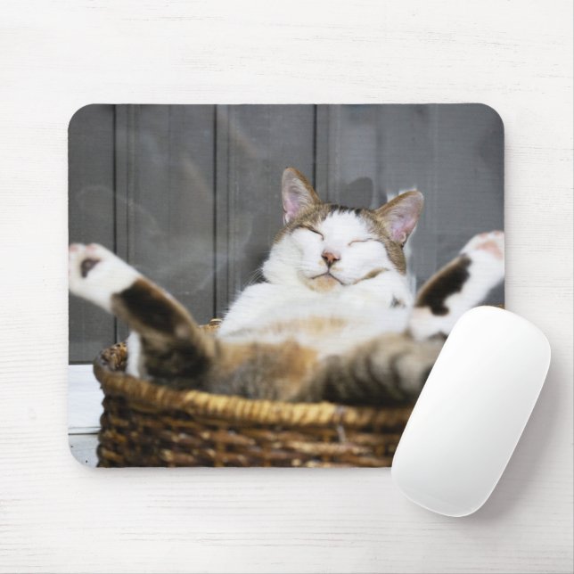 Cutest Baby Animals | Cat in Bed Mouse Mat (With Mouse)