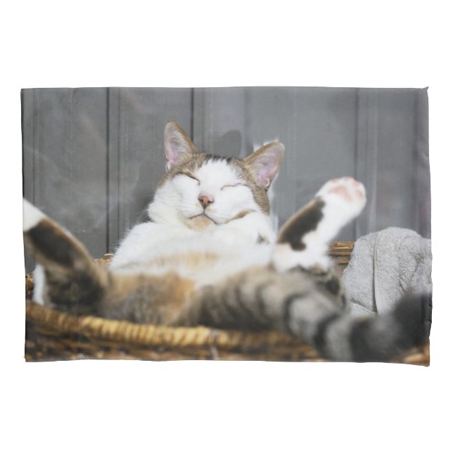 Cutest Baby Animals | Cat in Bed Pillowcase (Front)