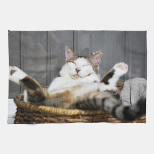Cutest Baby Animals   Cat in Bed Tea Towel