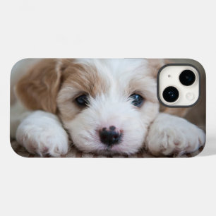 Cutest Baby Animals   Cavashon Puppy Case-Mate iPhone 14 Case