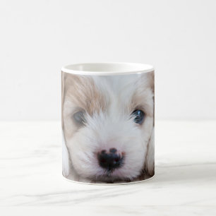 Cutest Baby Animals Cavashon Puppy Coffee Mug