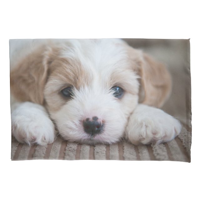 Cutest Baby Animals | Cavashon Puppy Pillowcase (Front)