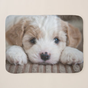 Cutest Baby Animals Cavashon Puppy Sherpa Blanket