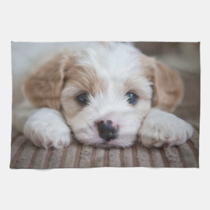 Cutest Baby Animals Cavashon Puppy Tea Towel