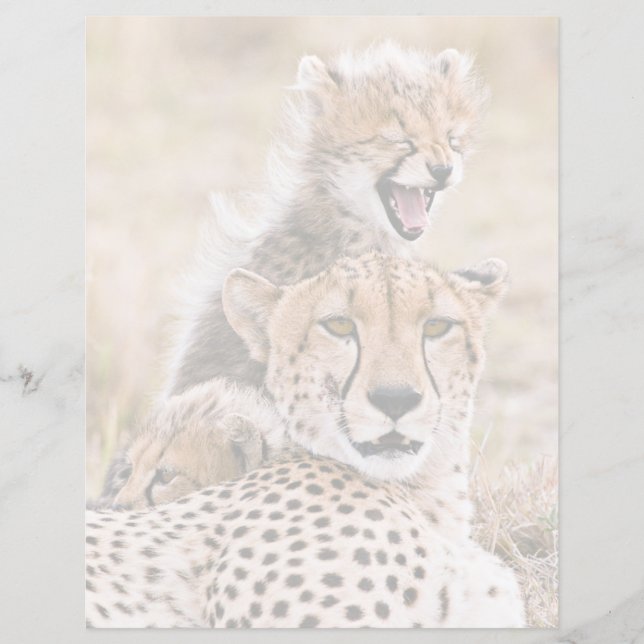 Cutest Baby Animals | Cheetah Cat & Cub (Front)