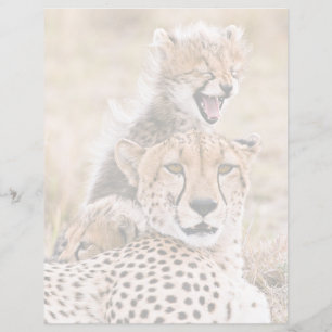 Cutest Baby Animals Cheetah Cat & Cub
