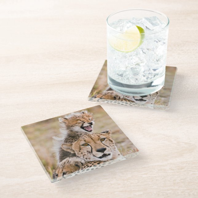 Cutest Baby Animals | Cheetah Cat & Cub Glass Coaster (Angled)