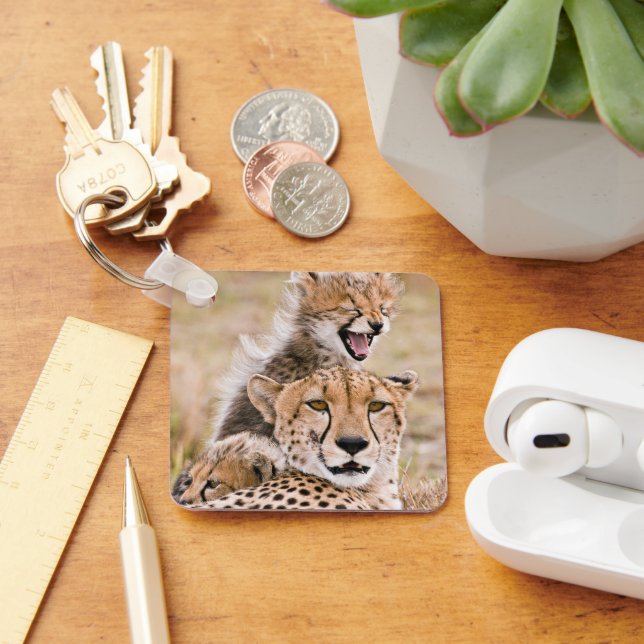 Cutest Baby Animals | Cheetah Cat & Cub Key Ring (Desk)