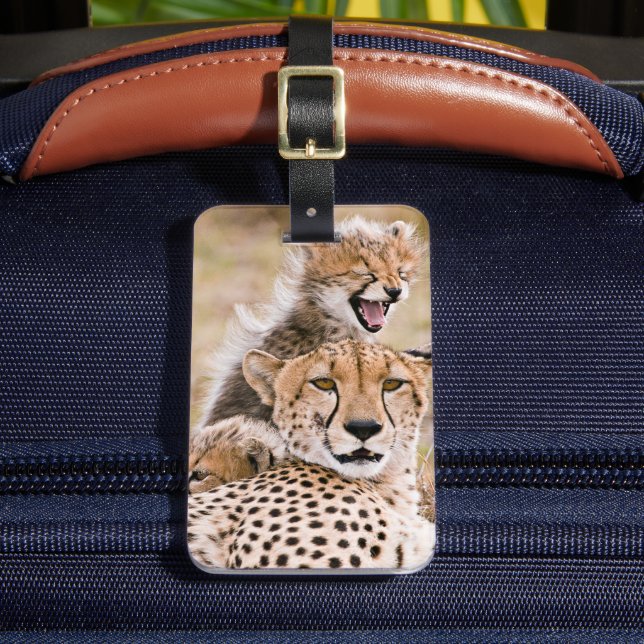 Cutest Baby Animals | Cheetah Cat & Cub Luggage Tag (Front Insitu 2)