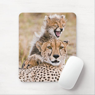 Cutest Baby Animals   Cheetah Cat & Cub Mouse Mat