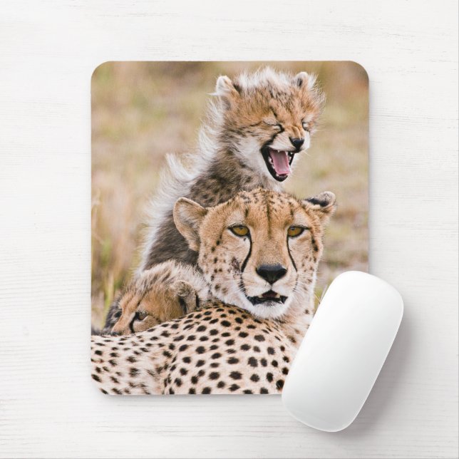 Cutest Baby Animals | Cheetah Cat & Cub Mouse Mat (With Mouse)