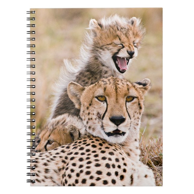 Cutest Baby Animals | Cheetah Cat & Cub Notebook (Front)