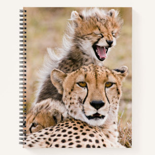 Cutest Baby Animals   Cheetah Cat & Cub Notebook