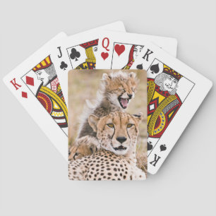 Cutest Baby Animals Cheetah Cat & Cub Playing Cards