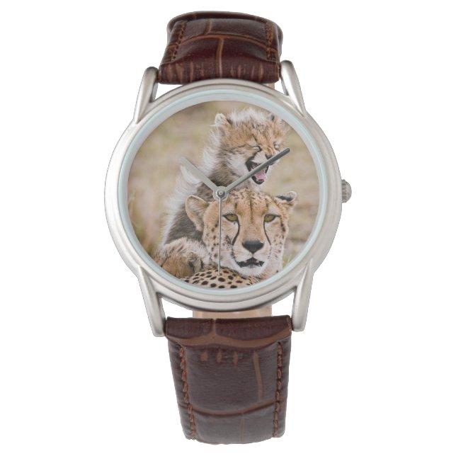 Cutest Baby Animals | Cheetah Cat & Cub Watch (Front)