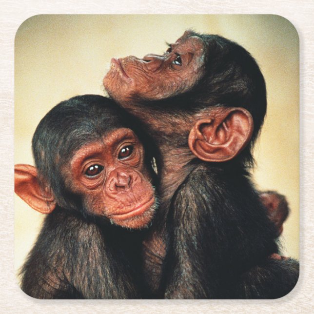 Cutest Baby Animals | Chimpanzee Hug Square Paper Coaster (Front)