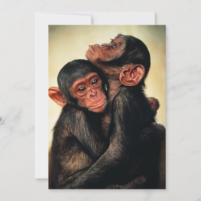 Cutest Baby Animals | Chimpanzee Hug Thank You Card (Front)