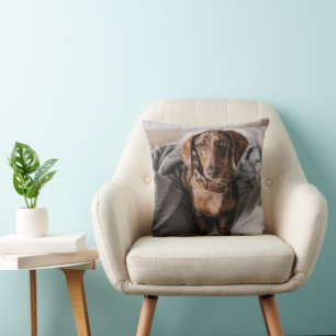 Cutest Baby Animals Chocolate Dapple Dachshund Cushion