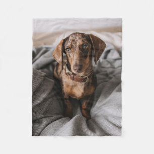 Cutest Baby Animals   Chocolate Dapple Dachshund Fleece Blanket