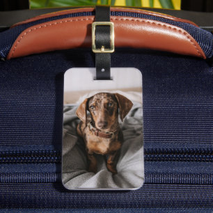 Cutest Baby Animals   Chocolate Dapple Dachshund Luggage Tag
