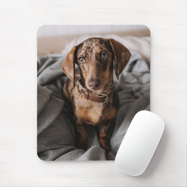 Cutest Baby Animals | Chocolate Dapple Dachshund Mouse Mat (With Mouse)