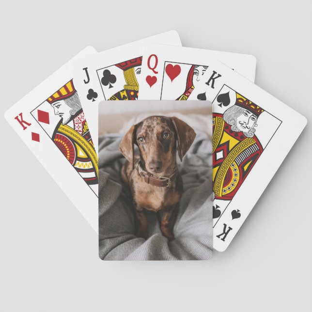 Cutest Baby Animals | Chocolate Dapple Dachshund Playing Cards (Back)