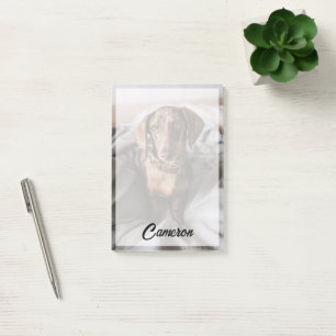 Cutest Baby Animals   Chocolate Dapple Dachshund Post-it Notes