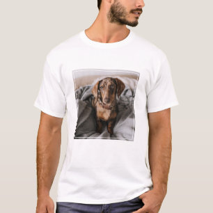 Cutest Baby Animals   Chocolate Dapple Dachshund T-Shirt
