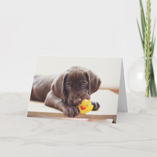Cutest Baby Animals | Chocolate Labrador Puppy Card (Front)