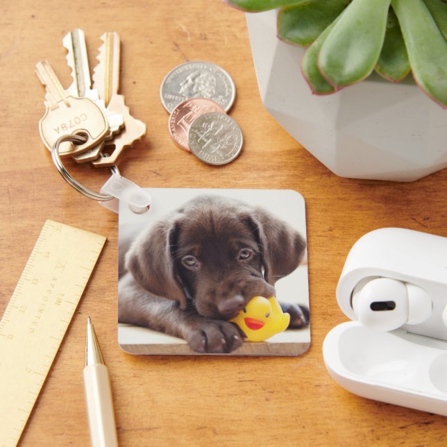 Cutest Baby Animals | Chocolate Labrador Puppy Key Ring (Desk)
