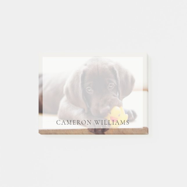 Cutest Baby Animals | Chocolate Labrador Puppy Post-it Notes (Front)