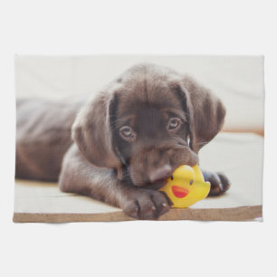 Cutest Baby Animals   Chocolate Labrador Puppy Tea Towel
