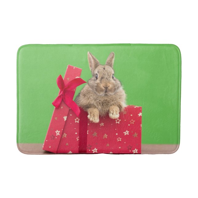 Cutest Baby Animals | Christmas Holiday Bunny Bath Mat (Front)